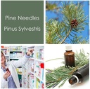 HPDC+ Health & Nutrition Pine Needles Natural Liquid Extract Tintura alta en vitamina C, bioflavonoides, antioxidantes, ácido shikimic (100ml / 3.38 fl oz)