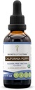 California Poppy USDA Organic Tincture ← Alcohol-FREE Extract, High-Potency Herbal Drops  Made from 100% Certified Organic California Poppy (Eschscholzia Californica) Dried Herb and Flower (2 oz)