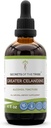 Secretos de la Tribu Mayor Celandina Tintura Extracto de Alcohol, Gran Celandina (Chelidonium majus) 4 OZ
