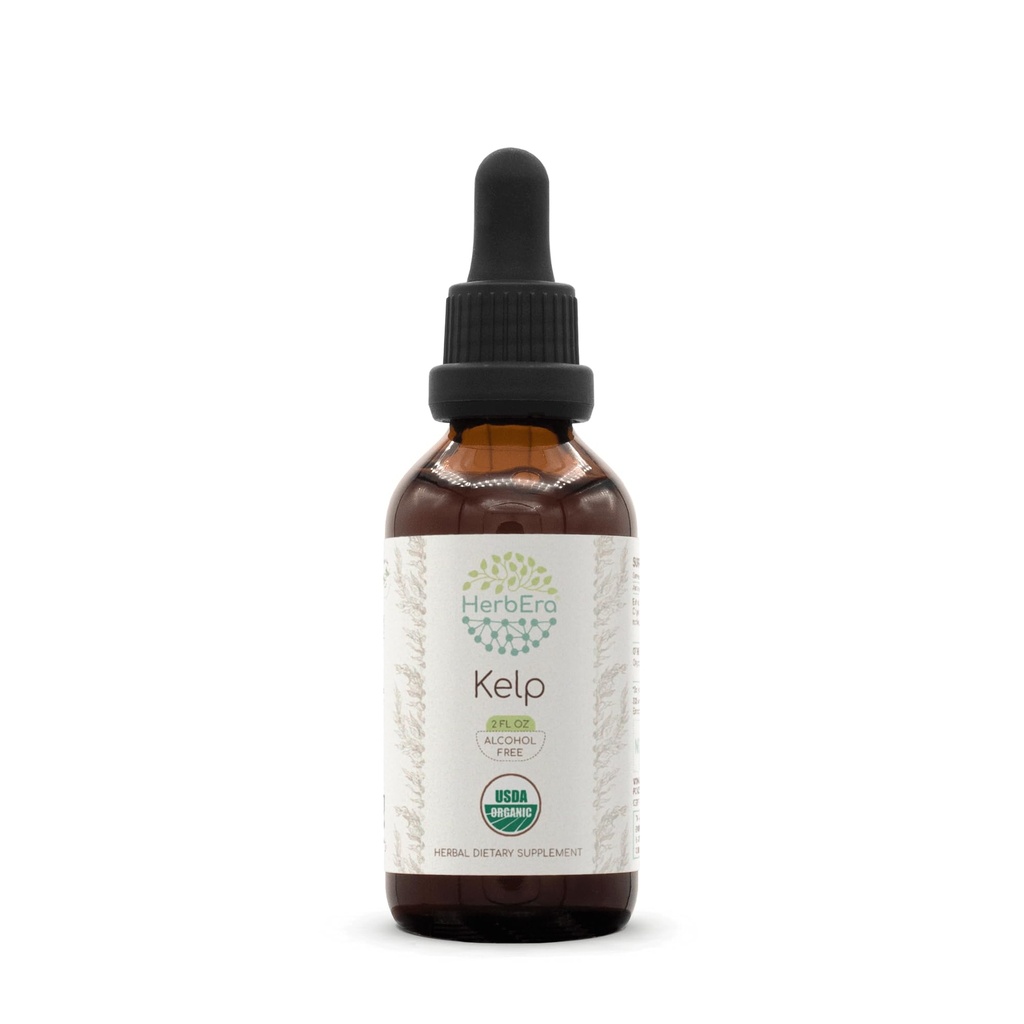 HerbEra Kelp B60 USDA Organic Tincture ← Extracto libre de alcohol, gotas herbales de alta potencia ← Certified Organic Kelp (Ascophyllum nodosum) Planta seca (2 oz)