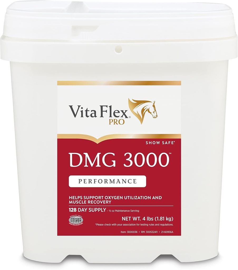 Pro DMG 3000 Horse DMG Concentrate, 4 libras, 128-Day Supply