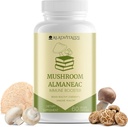 Mushroom Almaneac Nootropics Brain Support Suplemento, Boosts Energy, Focus, Immune Support - con Lions Mane, Cordyceps, Turquía Tail, Shiitake Mushrooms - 60 cápsulas