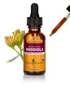 Herb Pharm Certified Orgánica Rhodiola Extract for Energy, Endurance and Stamina, Alcohol-Free Glycerite, 1 Ounce