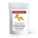 Wellness adictivo Reishi Mushroom Extract Powder + Spores (50/50 Blend) Wood Grown Pure " Potent Wildcrafted Ganoderma (100 gramos)