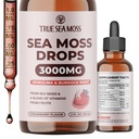 TrueSeaMoss Irish Sea Moss Drops - 5X Stronger Than Sea Moss Gel - 92+ Essentials Minerals - con Spirulina Powder, Burdock Root & Black Cumin - 2 Fl Oz (60ml) - Strawberry Flavor