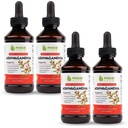 Maxx Herb Ashwagandha Extracto – Max Strength Liquid Tincture Absorbs Better Than Capsules o Powder - para la resistencia, la memoria y el soporte de inmunológico – 4 botellas, 4 Oz Cada (240 servidumbres)