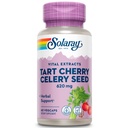 SOLARAY Tart Cherry " Celery Seed ← Saludable Uric Acid Levels, Joint, Muscle Recovery " Sleep Support ← 60 VegCaps