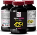 Ginkgo biloba Supplement - Ginkgo BILOBA Extract - Natural antioxidant Extract, Herbal antioxidant Support, Ginkgo biloba Benefits, Botanical Extract Supplement, Plant-Based antioxidant 1Bot 60Caps