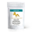 Cordyceps de Wellness Adictivo CS-4 Extract Powder - Pure " Potent for Energy and Endurance, 1 Packet