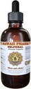 Extracto líquido autoheal, Selfheal orgánico (Prunella Vulgaris) Tintura, Suplemento herbal, Pharm de Hawaii, Hecho en EE.UU., 4 fl.oz