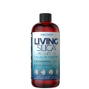 Orgono Living Silica Collagen Booster ← Vegan Mineral-Based Silica Suplemento Silencioso Apoyos Saludable Collagen &amp; Elastin Producción para Soporte Conjunto &amp; Bone, Esquía de Glowing, Pelo fuerte &amp; uñas  16.9 Fl Oz