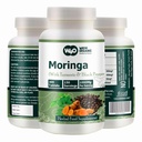 Moringa Tablets with Turmeric and Black Pepper, 300 Pills, 5 Month Supply, 150 Serving, 1000 Mg por Serving. Una cápsula con múltiples beneficios - apoya la salud digestiva (Pack of 1)