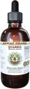 Quassia Extract líquido libre de alcohol, Quassia (Quassia Amara) Dried Bark Glycerite Natural Herbal Suplemento, Hawaii Pharm, USA 2 fl.oz