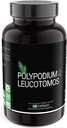 Polypodium Leucotomos 500mg 180 Conde (V-Capsules) / 90 Serviciones: Manufactured in a cGMP-Registered Facility in USA; Vegan, Gluten Free