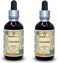 Cleavers (Galium Aparine) Tincture, Organic Dried Above-Ground Parts Liquid Extract (Brand Name: HerbalTerra, Proudly Made in USA) 2x2 fl.oz (2x60 ml)