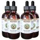 Selfheal Alcohol-Free Liquid Extract, Organic Selfheal (Prunella Vulgaris) Dried Herb Glycerite Natural Herbal Suplemento, Hawaii Pharm, USA 4x4 fl.oz