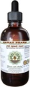 HawaiiPharm Jin Qian Cao Extracto líquido libre de alcohol, Jin Qian Cao (Lysimachia Christinae) Dried Herb Glycerite Herbal Suplemento 2 oz