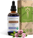 Red Clover Herb USDA Organic Tincture ← Alcohol-FREE Extract, High-Potency Herbal Drops suffer Made from 100% Certified Organic Red Clover Herb (Trifolium Pratense) Dried Leaf and Flower 4 oz