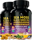 Sea Moss Capsules – 17-en-1 Blend con Black Seed Oil Ashwagandha Fledderwrack Burdock Root Turmeric Vitamina D3 K2 C para el bienestar diario – Suplemento multimineral para hombres y mujeres – 240 Conteo