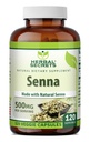 Herbal Secrets Senna Supplement TEN 500 Mg TEN 120 Veggie Capsules ← Hecho con Natural Senna Silencio No-GMO Silencio Gluten-Free TEN Made in USA