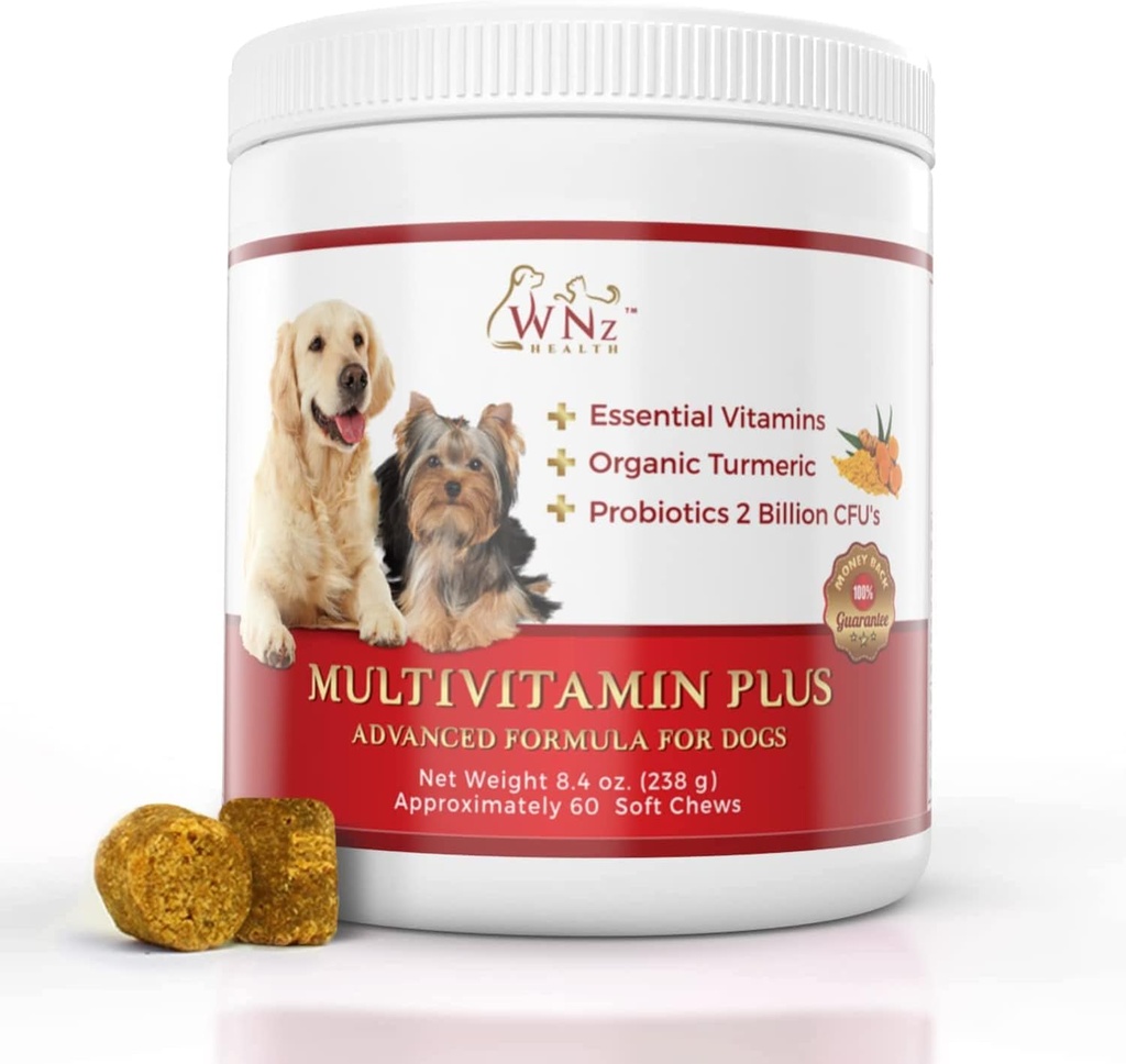 Multivitaminas y suplementos de perros, Probióticos para perros w/Turmeric &amp; Yucca, Píldoras de perros probióticos para la función cerebral, Gut &amp; Immune Support, Conjunto de Salud &amp; Suplemento antiinflamatorio, 60 Chews, 8.4 oz