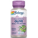 SOLARAY Olive Leaf Extracto Suplemento, 250mg tención 60 Cuenta