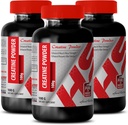 Body Builder for Hombre - CREATINE Powder 100G - Creatine Bulk - 3 Bottle (Powder)