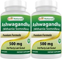 Mejores Naturales Ashwagandha Extracto 500 Mg 120 Capsules (Pack of 2)