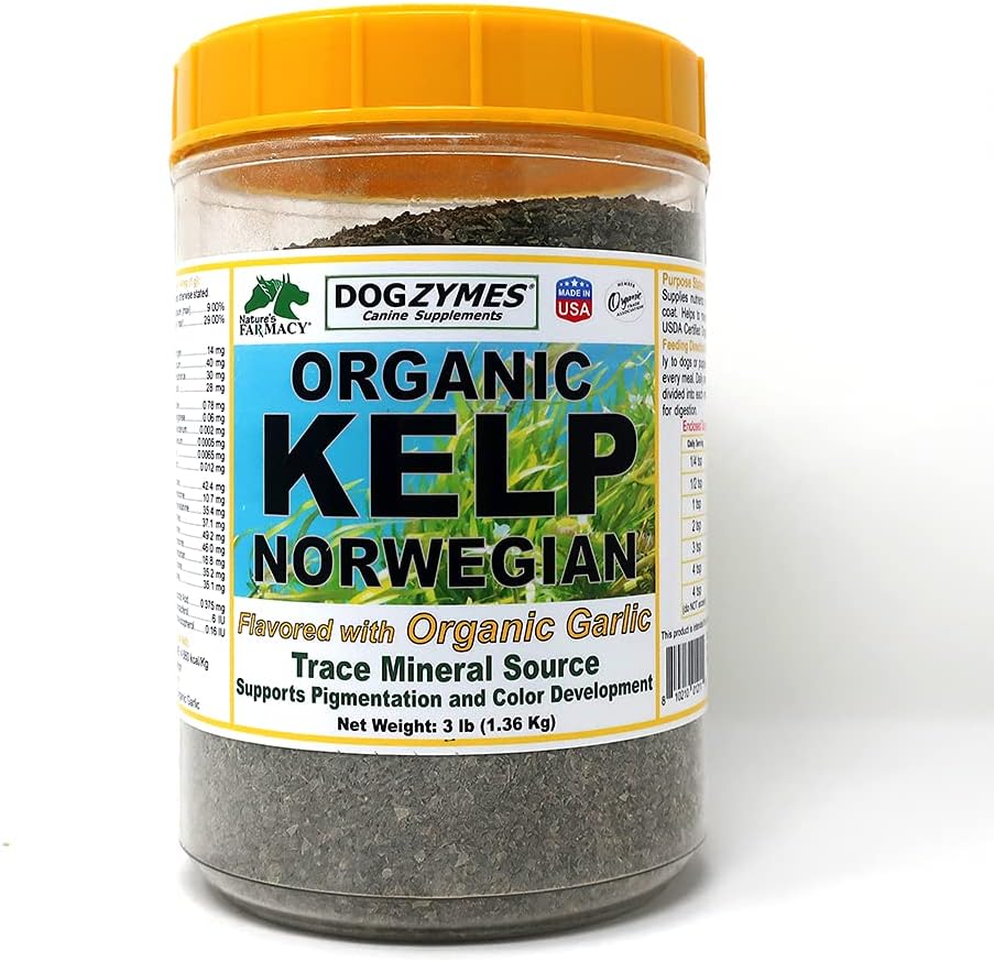 Dogzymes Organic Norwegian Kelp mejorado con ajo (3 libras)