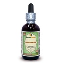 Ashwagandha (Conania Somnifera) Glicérite, Orgánica de raíz seca sin alcohol Extract 2 oz