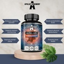 HEGEMONIO DE APOLLO Alfa-GPC 600mg por dosis diaria - 90 cápsulas de Choline Vegan - 99% Choline Alfoscerate Suplemento dietético - Lipid Choline - Memory and Concentration Capsules