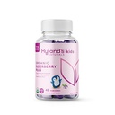 Hyland's Kids Organic Elderberry Plus Gummies, Organic Black Elderberry con ZINC y Vitamina C, Immune Support for Children, 48 Vegan Gummies