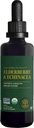 Global Healing Center USDA Organic Elderberry & Echinacea Liquid Supplement Tincture ¦ Antioxidant Immune Support Against Harmful Organisms for Adults and Kids, Vegan, Non-GMO, 2-Month Supply (2 Oz)