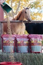 Mega Dose 40 lb, Equine Vitamin Mineral con un servicio completo de guardaespaldas Suplemento " Hoof Guard