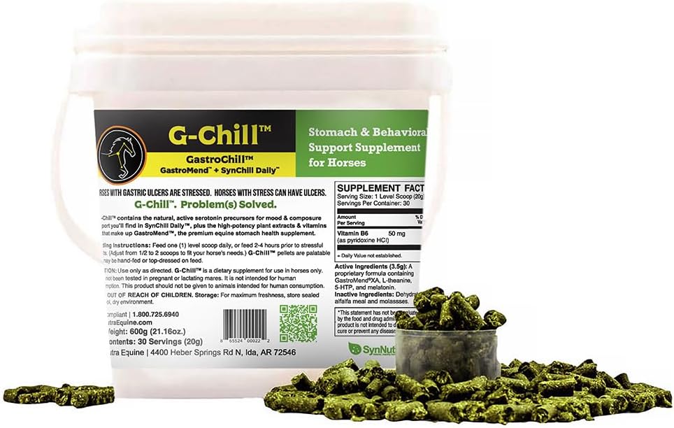 G-Chill All-Natural Digestive Health Support for Horses - 30 servings - Promotes Stomach " Hindgut Health, Aids in Gastric Ulcer Relief, Enhances Collagen " Fibronectin Production for Tisue Repair