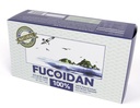 [Tipo de la pluma] Extracto de algas 100% Natural Marrón Fucoidan USFDA Pasado (Código ID 2030950) (50g (20sachets))