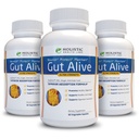 Gut Alive - All Natural Support to Fight IBS, Heartburn, Acid Indigestion, Acid Reflux, Bloating & Gas. Fórmula única (60 Cuenta (Pack of 3))