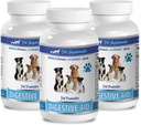 enzimas digestivas para perros 8 oz - DOG DIGESTIVE AID PROBIOTICS - NATURAL APPROACH - SOLUTION TO BAD BREATH AND GAS - COUNTER DIARRHEA - probióticos para perros usa - 3 Botellas (180 Treats)