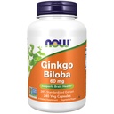 AHORA Suplementos Alimentarios, Ginkgo Biloba 60 mg, 24% Extracto Estándarizado, Proyecto No OGM Verificado, 240 cápsulas Veg