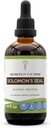 Secretos de la Tribu Salomon s Seal Tincture Alcohol Extracto, Alta Potencia gotas herbales, Tintura Hecha del Sello de Salomón natural Polygonatum odoratum Sistema respiratorio Salud 4 oz