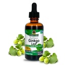 Respuesta de la naturaleza Leaf sin alcohol 2000mg 2oz Extracto TENIDO Estimula la memoria, el humor " Concentración ANTE Gluten-Free, Kosher Certified " No Preservatives TEN Single Count