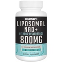 Liposomal NAD + 800 mg con Trans-Resveratrol 300 mg, Max Absorption, Actual NAD+ Suplemento de creación de envejecimiento saludable, energía celular, reparación de ADN, longevidad - 60 Softgels