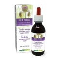 Naturalma Wild Teasel o Fuller's Teasel (Dipsacus fullonum o D. sylvestris) Root Alcohol-Free Tintura - 4 fl oz Liquid Extract in Drops - Herbal Supplement - Vegan