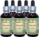 Psyllium (Plantago Ovata) Glycerite, Orgánica Husk Extracto líquido libre de alcohol (Marca: HerbalTerra, Proudly Made in USA) 5x2 fl.oz (5x60 ml)