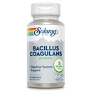 SOLARAY Bacillus Coagulans Probiótico - 5 millones de microorganismos en vivo - Digestión y apoyo a la salud del cuerpo completo Probióticos con fibra prebiótica de inulina, garantía de 60 días, 30 Serv, 60 VegCaps
