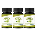 Amla 120 Tabletas – USDA Organic Indian Gooseberry – Rich in Vitamin C &amp; Supports Immune Health* - Pack of 3