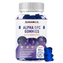 Alpha GPC Choline Gummies 600mg con Phosphatidylserine & Bacopa – 3-in-1 Brain Support for Memory, Focus &amp; Long-Term Cognitive Health – Sugar-Free, Natural Formula, 60 Condes