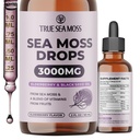 TrueSeaMoss Irish Sea Moss Drops - 5X Stronger Than Sea Moss Gel - 92+ Minerales Esenciales - con Black Elderberry, Burdock Root & Black Cumin - 2 Fl Oz (60ml) - Elderberry Flavor