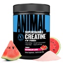 Powder de Creatina Supercarga de Animales - Monohidrato de Creatina Sabor Mejorado con Betaine Anhydrous, PurpleForce & Senactiv, Fuerza, Resistencia, Recuperación de Musculos para Hombres y Mujeres - Watermelon, 300g