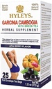 HYLEYS Tea Garcinia Cambogia Té verde con Acai Berry Flavor - 25 bolsas de té (12 Pack - 300 bolsas de té Total)